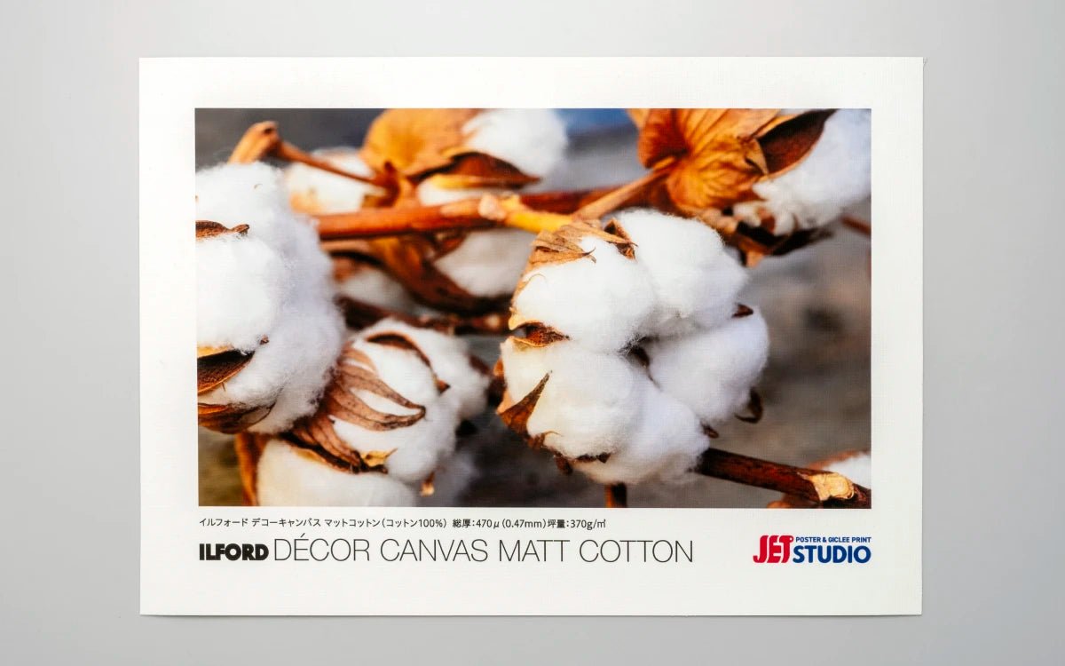 ILFORD マットコットンキャンバス - 大判印刷・ジークレープリント JET STUDIO